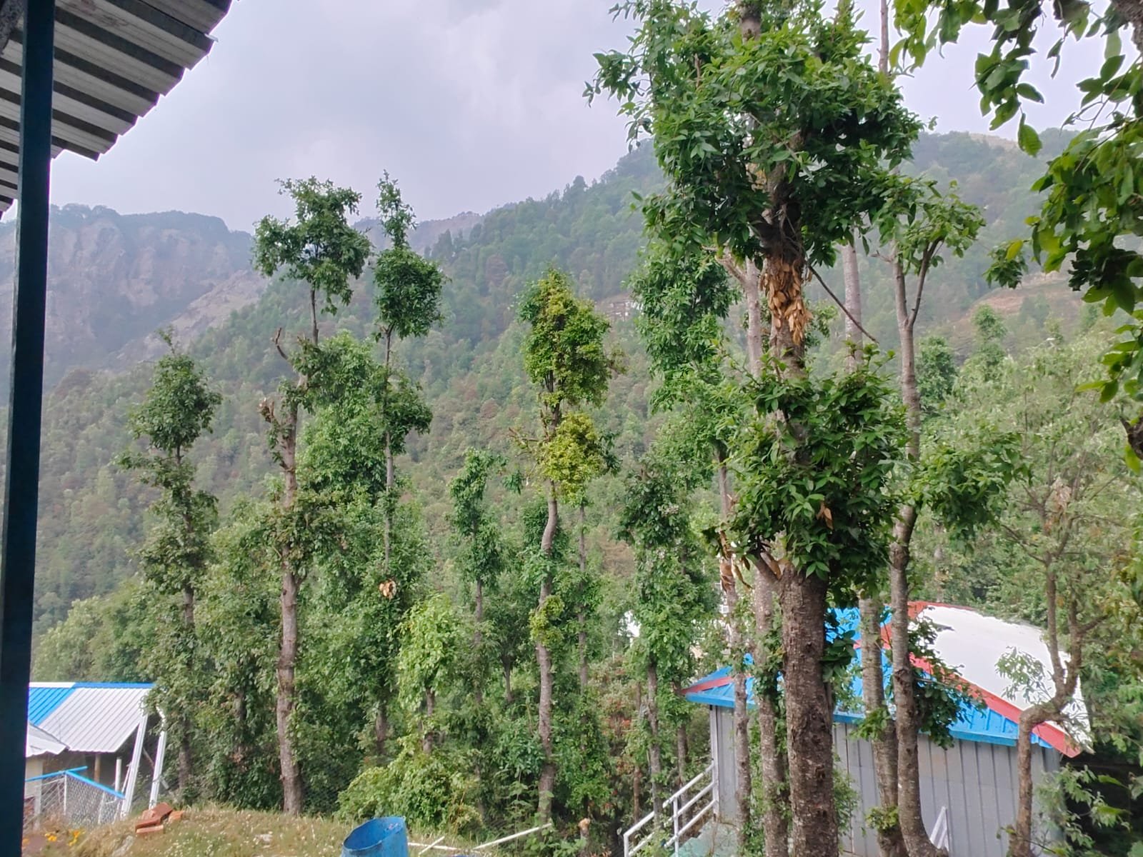 WhatsApp Image 2025-08-18 at 14.54.06