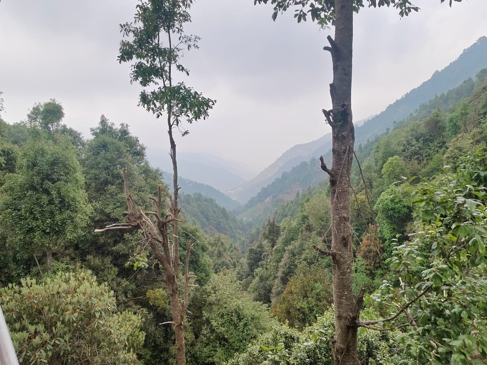 WhatsApp Image 2025-08-18 at 14.54.07 (2)