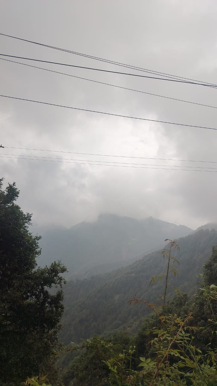 WhatsApp Image 2025-08-18 at 14.54.09 (1)