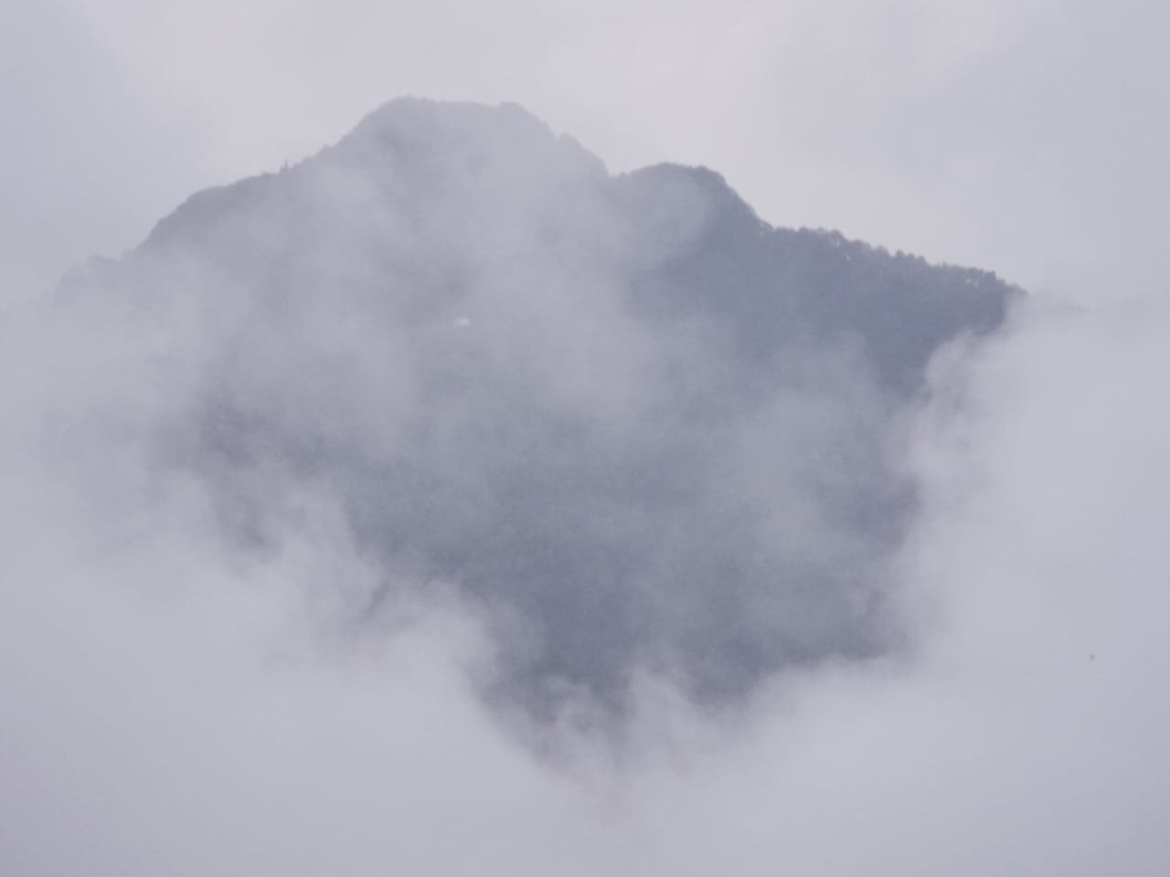 WhatsApp Image 2025-08-18 at 14.54.13