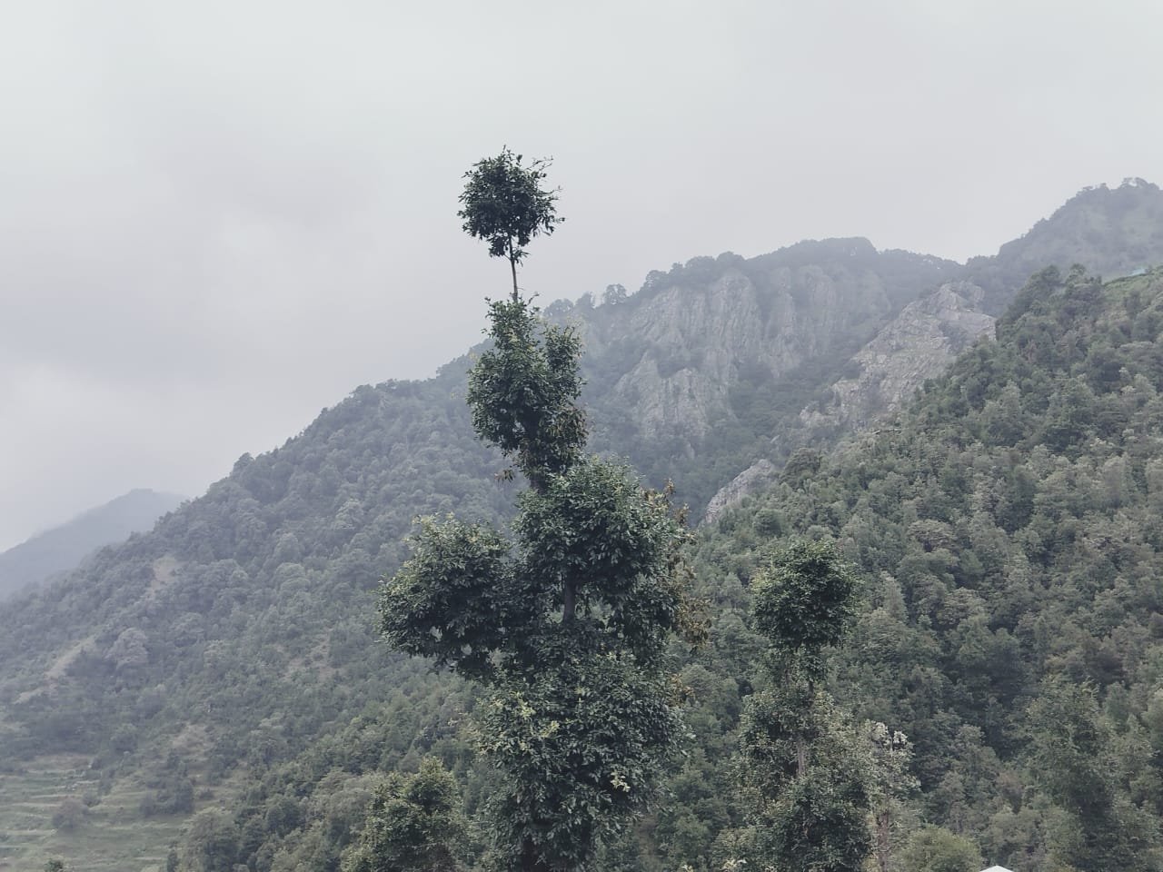 WhatsApp Image 2025-08-18 at 14.54.27 (1)