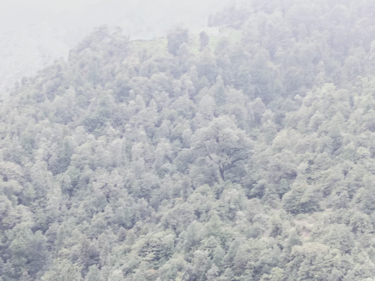 WhatsApp Image 2025-08-18 at 14.54.28 (1)