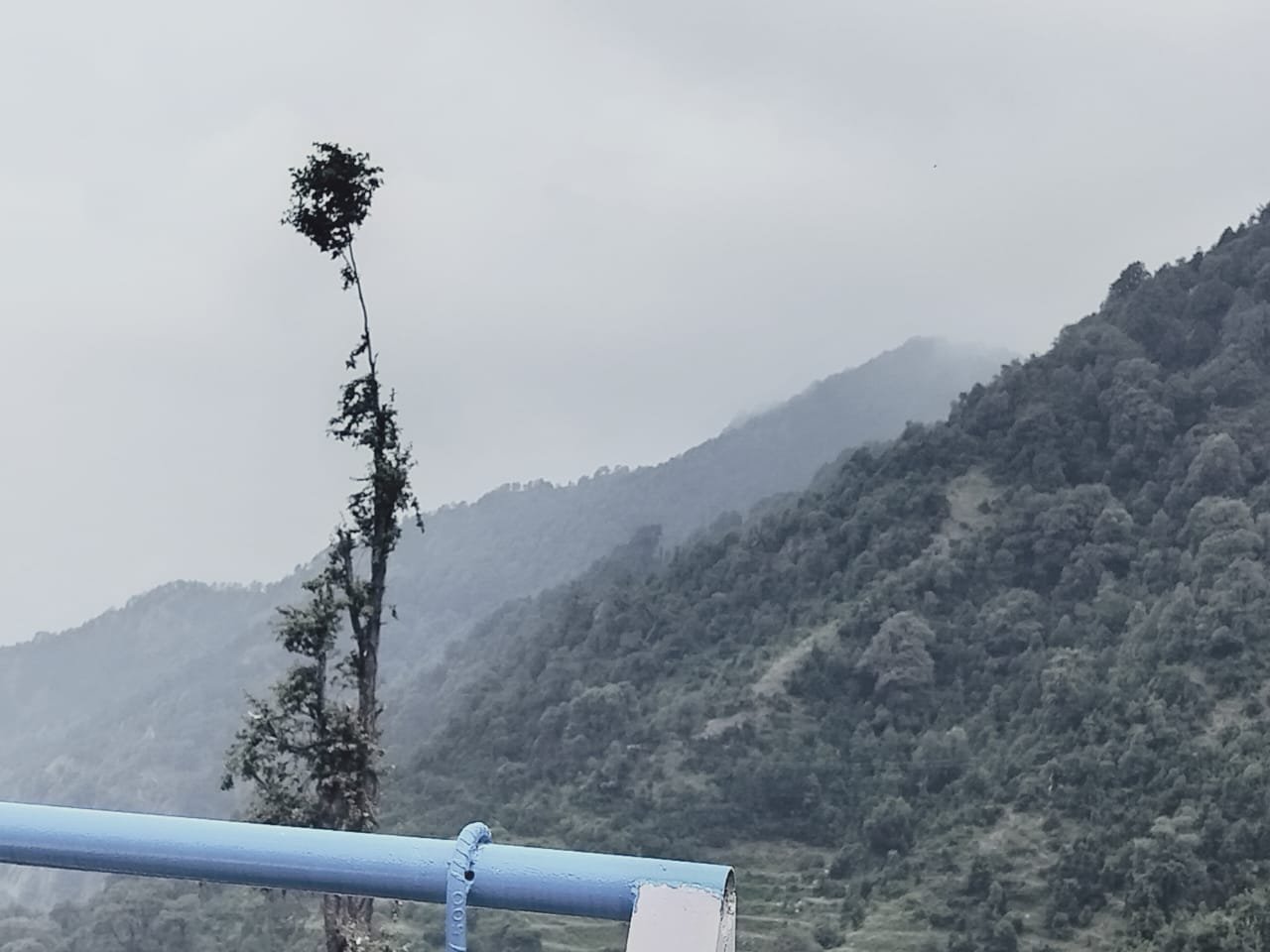 WhatsApp Image 2025-08-18 at 14.54.28