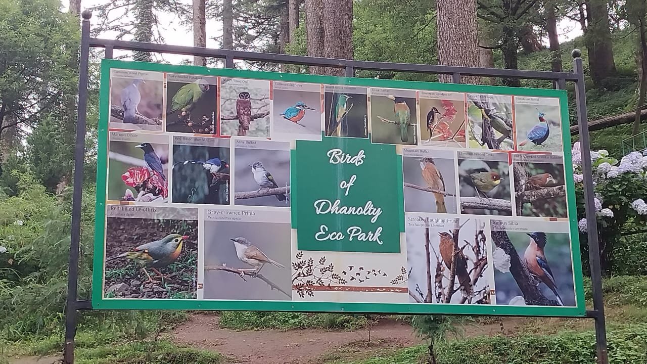 WhatsApp Image 2025-08-18 at 14.54.31