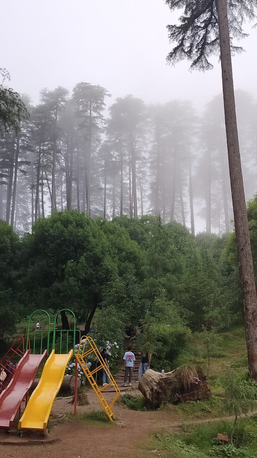 WhatsApp Image 2025-08-18 at 14.54.34