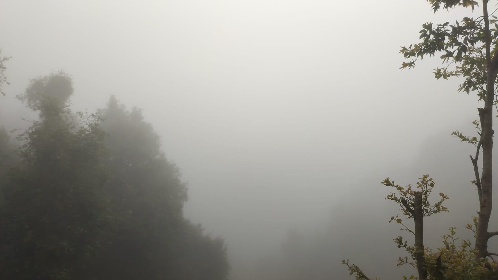 WhatsApp Image 2025-08-18 at 14.54.36